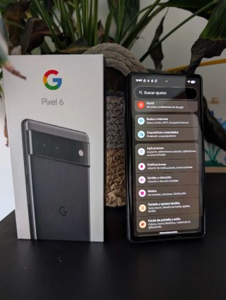 Google Pixel 6 Gris
