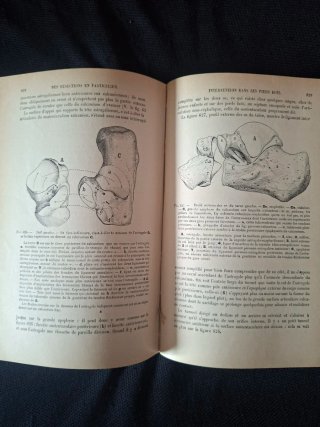 Libro L. Faraboeuf - Médecine Opératoire 1893-1895