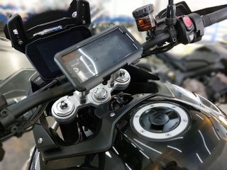TRIUMPH TIGER 900 GT PRO - 2023