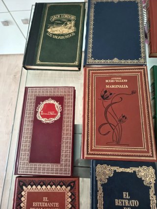 Grandes Genios de la literatura. 5 €/Ud