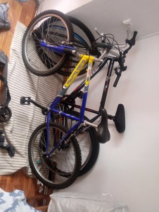 Dos Bicicleta de montaña