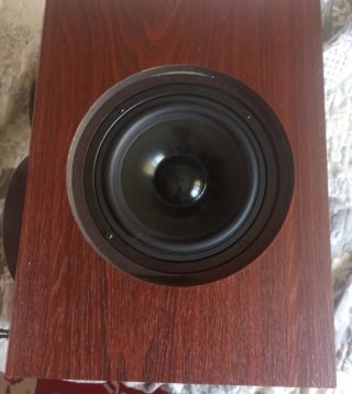 Altavoces negros y otros Marrones