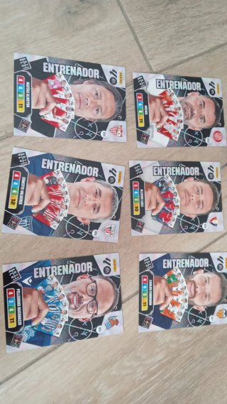 6 Cromos Entrenador Adrenalyn Panini