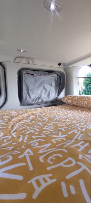 Renault Trafic 2020