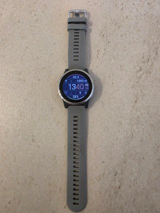 Garmin Vívoactive 4 Gris/Plata