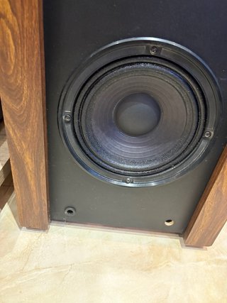Altavoces Bose 601