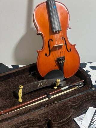 Viola en buen estado