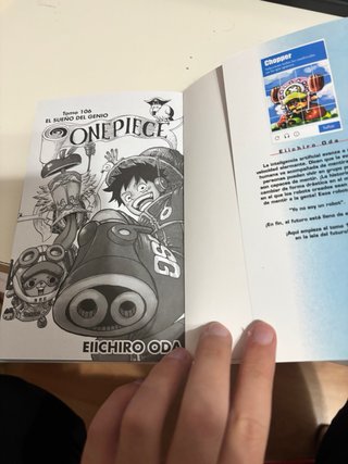One Piece nº 106