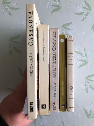 Lot literatura Hesse, Shakespeare i més