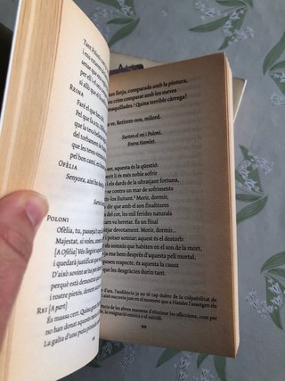 Lot literatura Hesse, Shakespeare i més