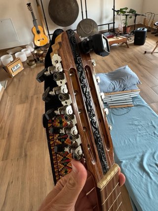 Charango Profesional 10 Cuerdas