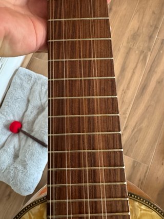 Charango Profesional 10 Cuerdas