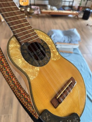 Charango Profesional 10 Cuerdas