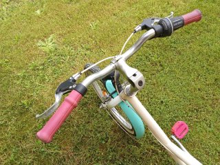 Bicicleta Infantil Niña 20" B'TWIN CAMELIA