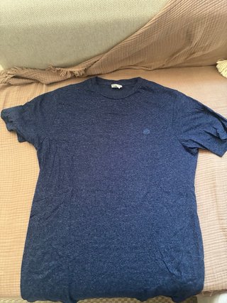 Lote 6 Camisetas Champion, Springfield, ZARA, HyM