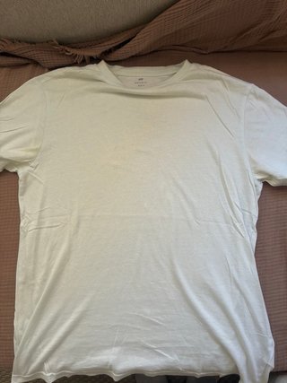 Lote 6 Camisetas Champion, Springfield, ZARA, HyM