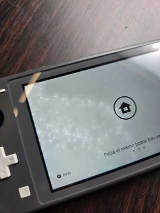 Nintendo Switch Lite Gris LEER