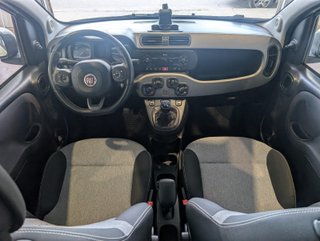 FIAT Panda 2017