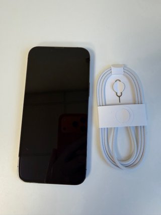 iPhone 13 Pro Max Gris