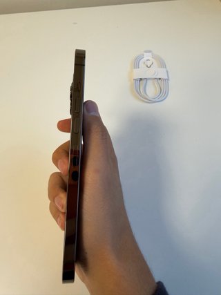 iPhone 13 Pro Max Gris