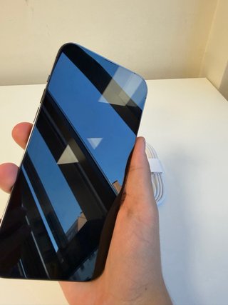 iPhone 13 Pro Max Gris