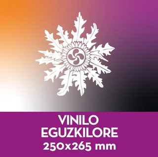 Vinilo Eguzkilore 250x265 mm