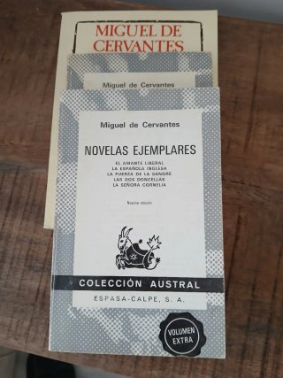 Cervantes Novelas Ejemplares juez de los divorcios
