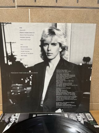 LP VINILO TOMMY SHAW “ WHAT IF “
