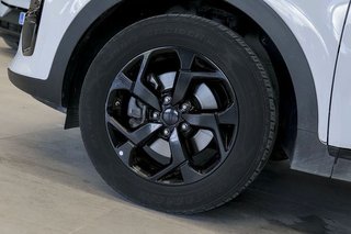 Kia Sportage   1.6 MHEV Black Edition 100kW 136CV 4x2