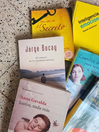 Lote de 14 libros. Buenas lecturas