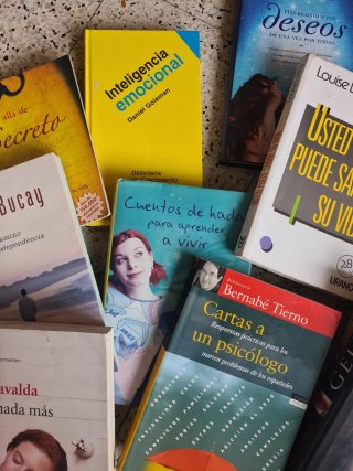 Lote de 14 libros. Buenas lecturas