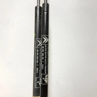 Amortiguadores Portón Citroën AX (2 uds)