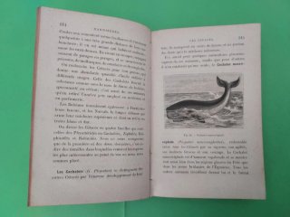 Precioso libro Les animaux utiles
