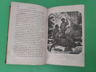 Precioso libro Les animaux utiles