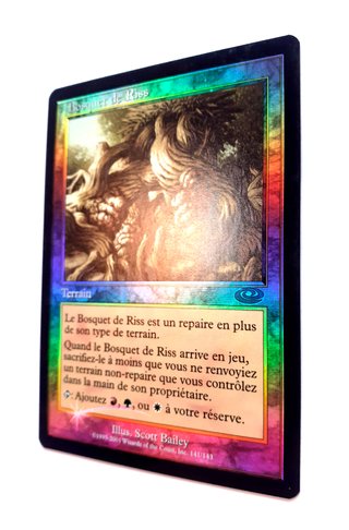 MTG Magic Bosquet de Riss Foil Planeshift GD+