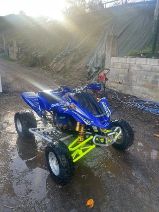 Gas Gas Wild 300