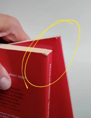 Nicolas Barreau 3 libri