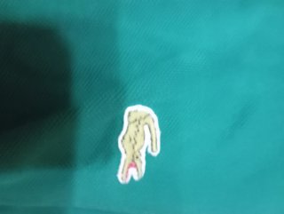Polo Lacoste Uomo Taglia XL Verde