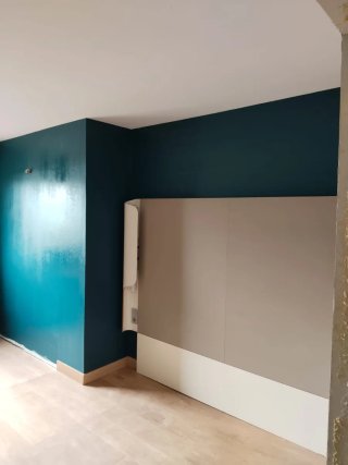 ALISADOS Y PINTURA
