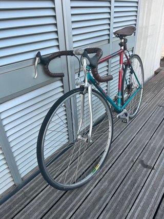 Giant Peloton Clásica 90s