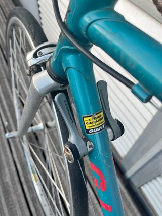 Giant Peloton Clásica 90s