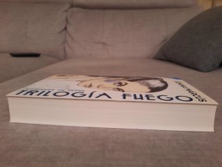 Trilogía Fuego 1. Ciudades de humo
