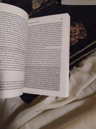Freud Cultura Tótem y tabú y Yo y el Ello
