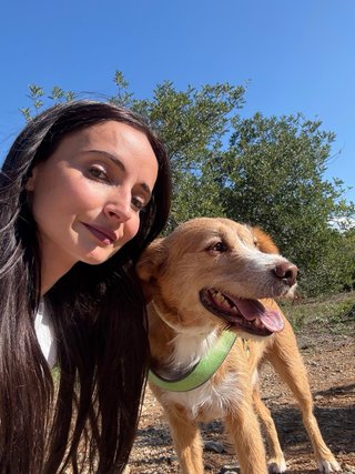 Paseadora y cuidadora de perros DESDE 7€