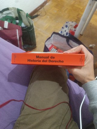 Manual de Historia Del Derecho