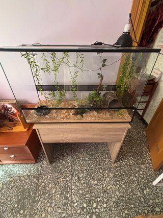 Terrario de cristal