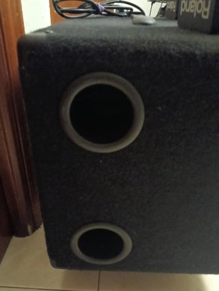 Roland PM-3 Monitor Personal