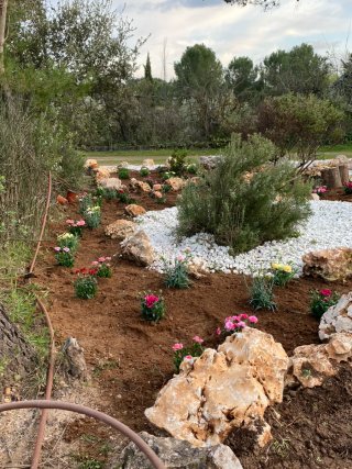 Servicio de Jardinería