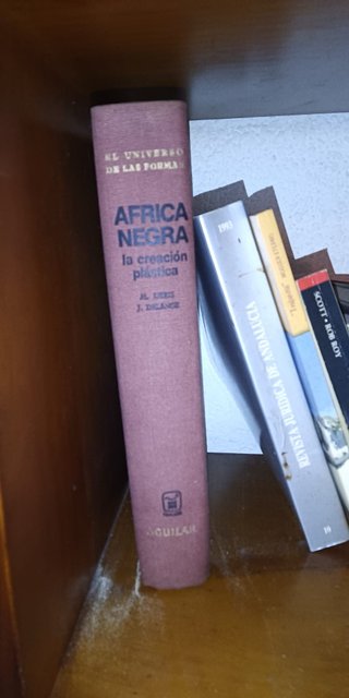 África negra, la creación plástica
