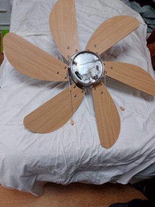 2 Ventiladores de Techo (4 y 6 aspas)